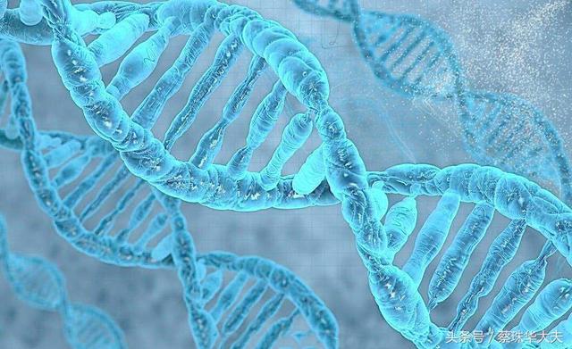 去香港验血详细流程和攻略分享,宝妈们可以大胆的检测了