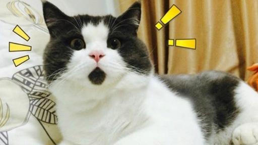 我是歌手4谁被淘汰(被批四季最差的我是歌手4到底差在哪儿)(9)