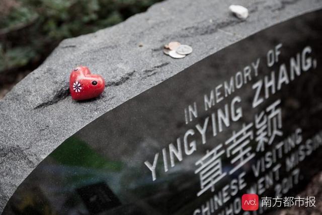 章莹颖案告破最全案情披露（章莹颖案八天庭审全记录）(1)