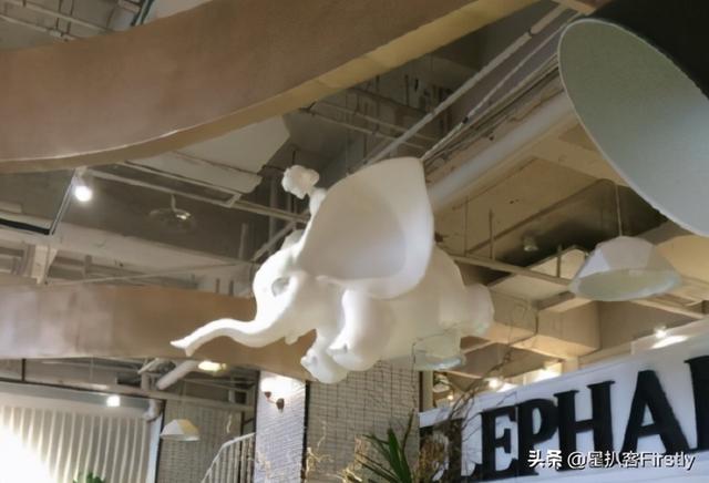 王一博邓亚萍跳舞:邓亚萍喊话王一博参加奥运会(14)