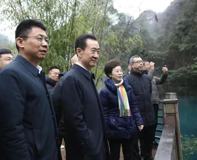 王健林身价6000亿 王健林又有大动作(17)