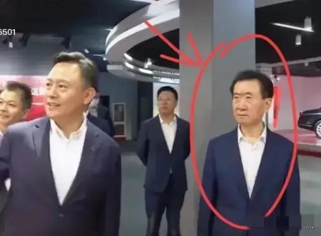 王健林身价6000亿 王健林又有大动作(16)