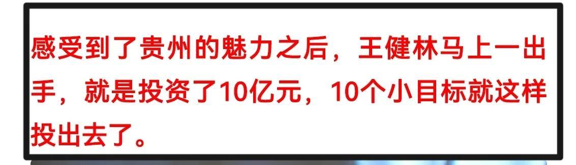 王健林身价6000亿 王健林又有大动作(6)