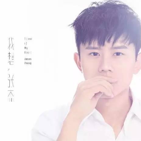 张杰的巅峰时期到底有多么红(越被黑越红两度选秀)(28)