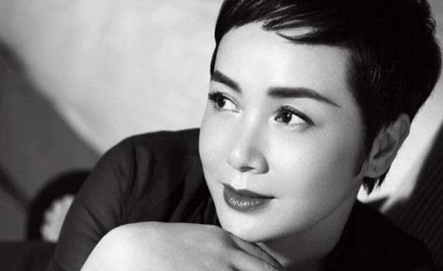 张国荣经典之作霸王别姬（霸王别姬除了张国荣）(6)