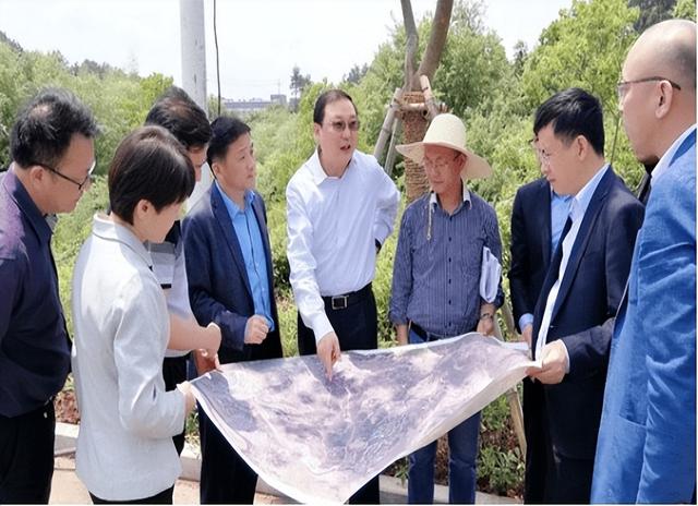 董卿与丈夫密春雷的年龄(密春雷25岁成亿万富豪)(3)