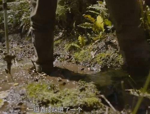 窦骁个人简介 窦骁出道7年都不火(45)