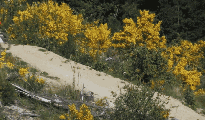 窦骁个人简介 窦骁出道7年都不火(42)