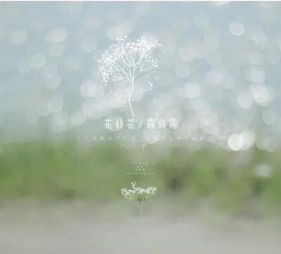 花非花白居易古诗意思(全诗表达了白居易什么情感思想)