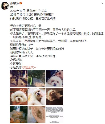 张馨予发文悼念去世爱犬 18年的陪伴狗狗从幼小到年老
