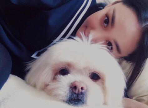 张馨予发文悼念去世爱犬 18年的陪伴狗狗从幼小到年老