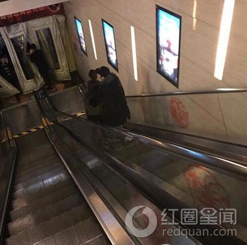 王思聪为什么宠豆得儿 豆得儿给王思聪口过吗