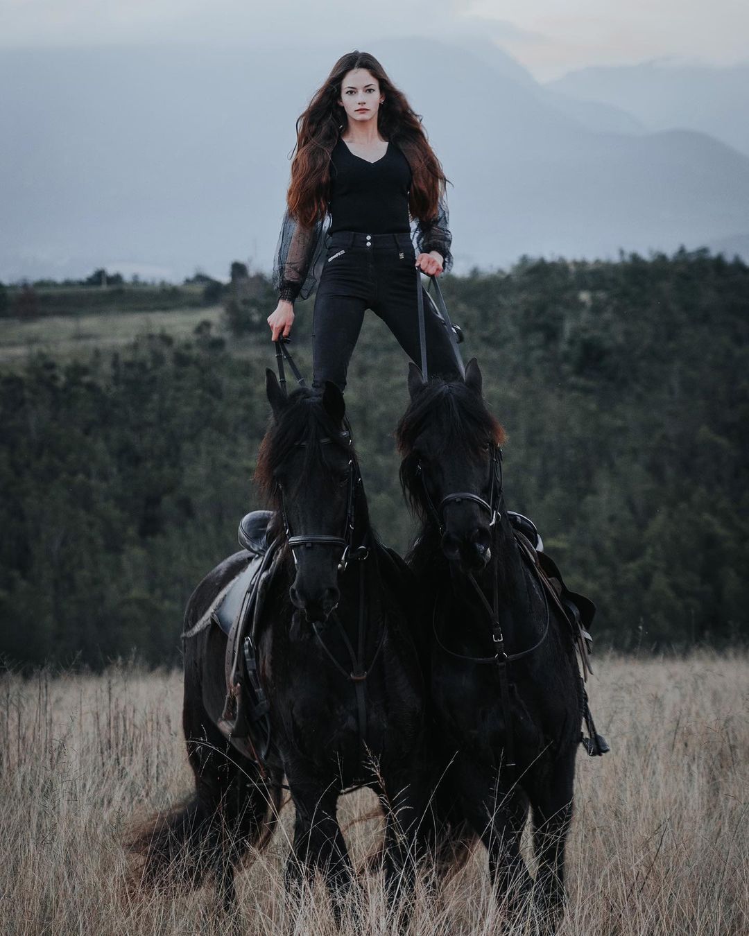 麦肯基·弗依个人资料写真作品