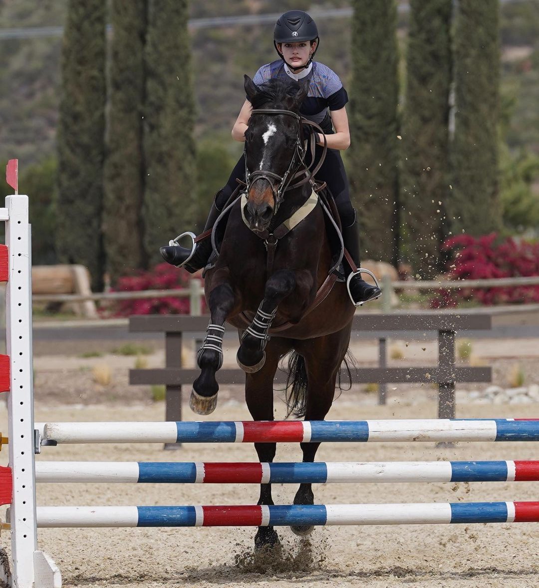麦肯基·弗依个人资料写真作品