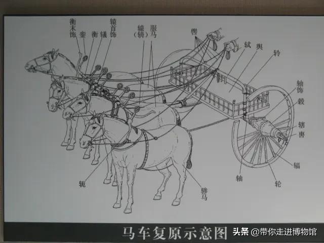 古代马车的详细构造（每日一识古代马车构件轙）(1)