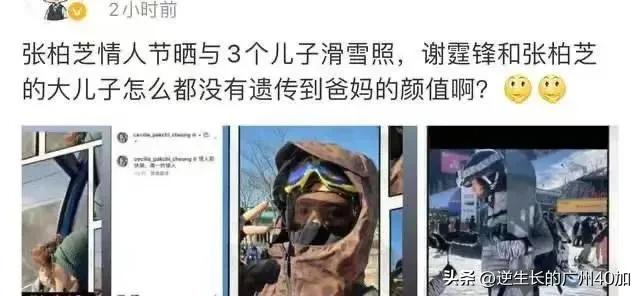 谢霆锋张柏芝情人节复婚（2023张柏芝谢霆锋复婚）